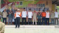 IMG-20241110-WA0049