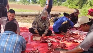 Kakan Kemenag Kota Bengkulu turun langsung membantu pekerjaan
