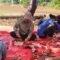 Kakan Kemenag Kota Bengkulu turun langsung membantu pekerjaan