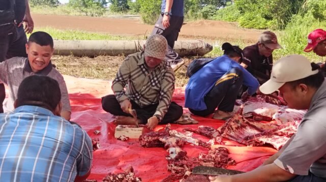 Kakan Kemenag Kota Bengkulu turun langsung membantu pekerjaan